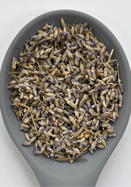 levanta