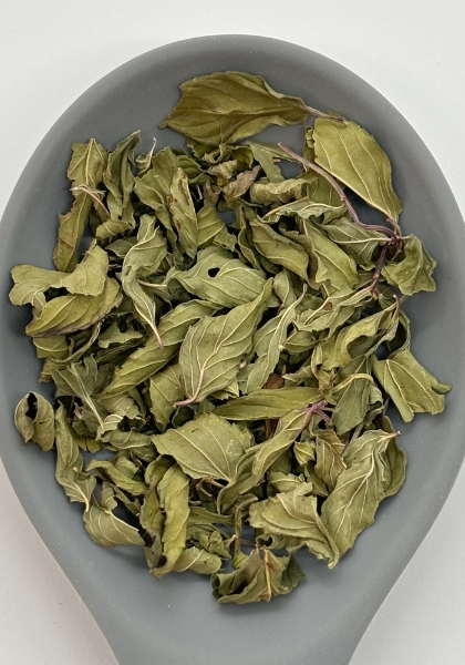 menta